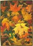 on the forest floor